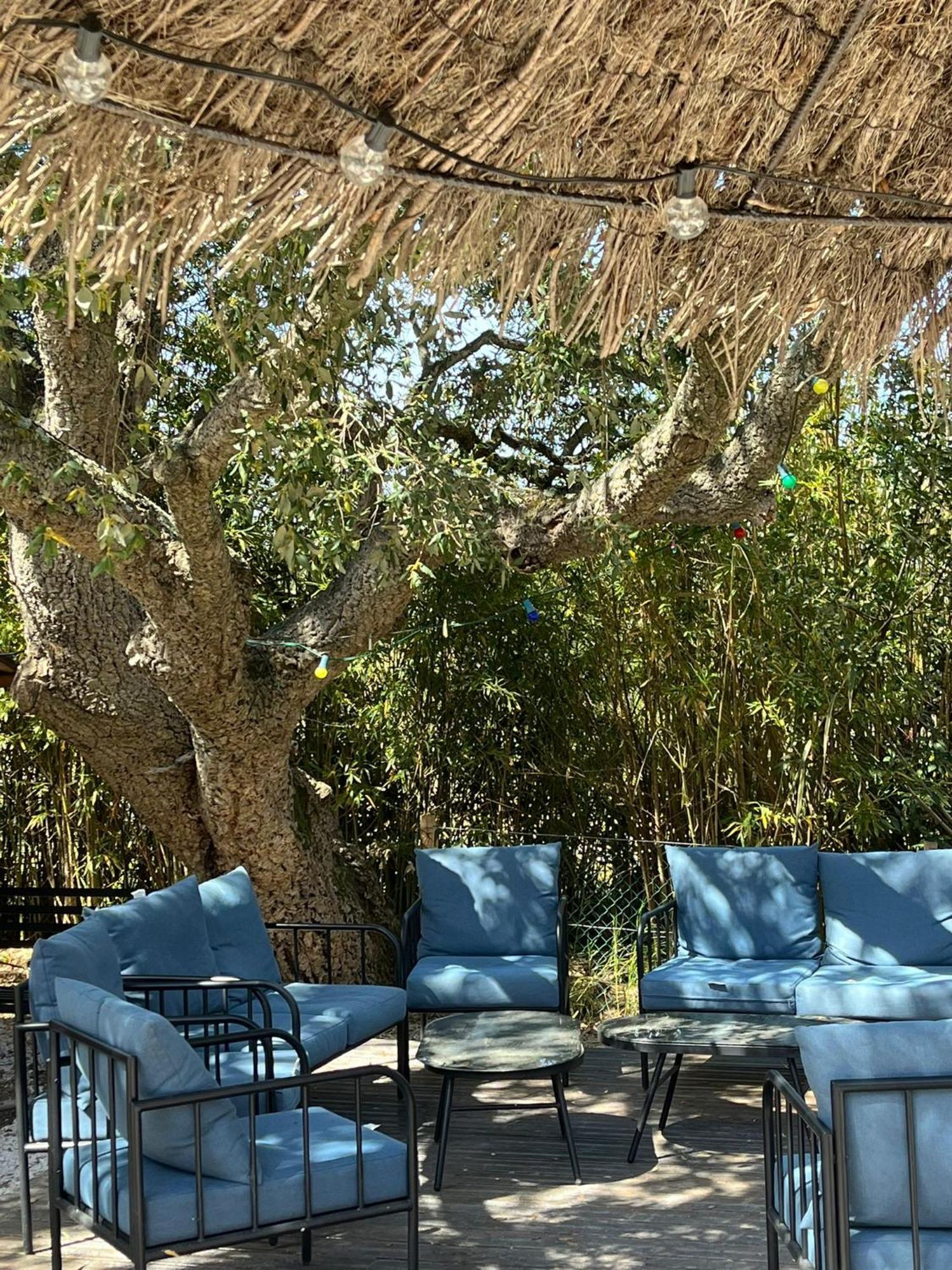 Lou Riou Village Vacances Saint Tropez Bagian luar foto
